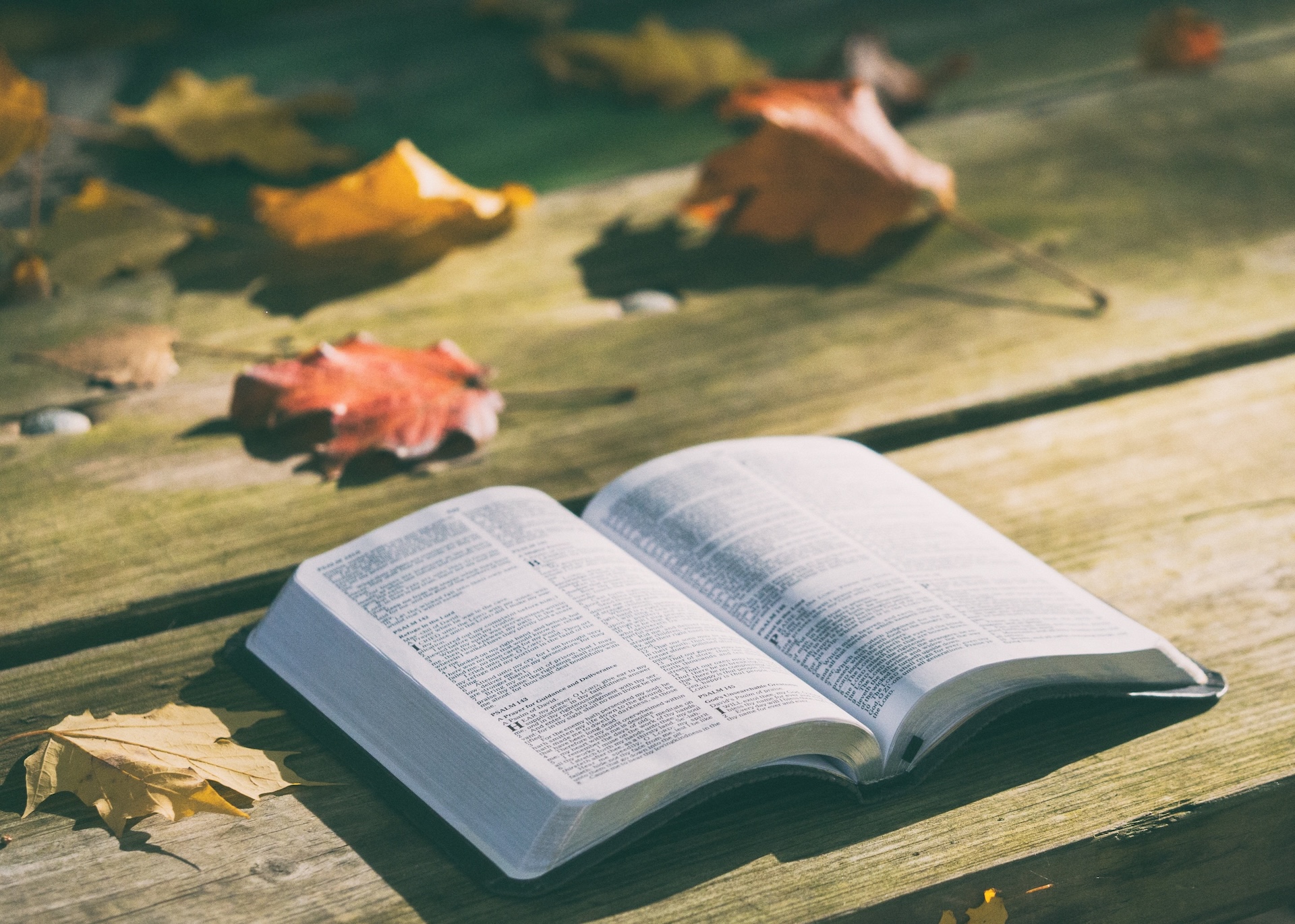 Bíblia aberta sobre mesa de madeira com folhas ao redor – leitura do devocional diário